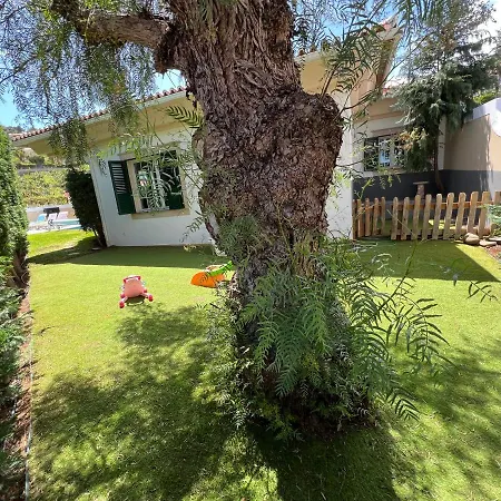 Casa Roc Madeira - 5 Bedrooms - Ocean And Views - Private Heated Pool Вилла